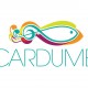 Cardume Music: emissora de web rádio inova ao transmitir programação através do Facebook. Confira